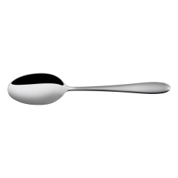 Table Spoon - Turin all mirror