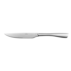 Steak knife - Pure all mirror